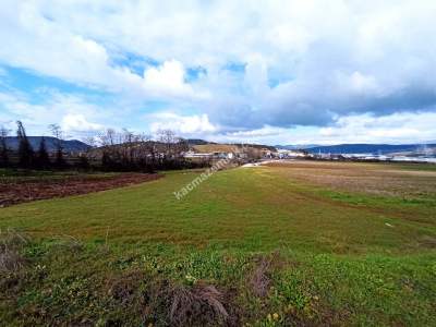 Bursa Erdoğan Köy 1965 M2 Satılık Tarla Süper Konumda 22