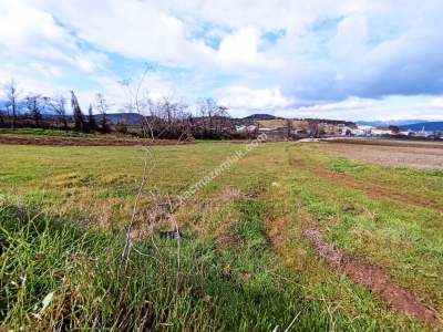 Bursa Erdoğan Köy 1965 M2 Satılık Tarla Süper Konumda 18
