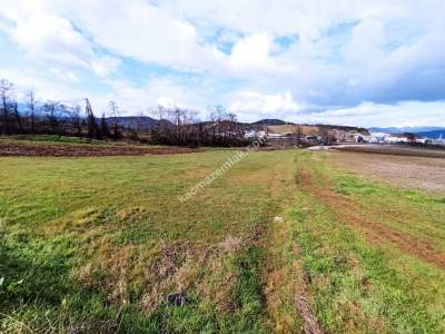 Bursa Erdoğan Köy 1965 M2 Satılık Tarla Süper Konumda 17