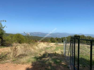 Kestel Gözede Mh Satılık Muhteşem Doğa Manzaralı Tarla 9