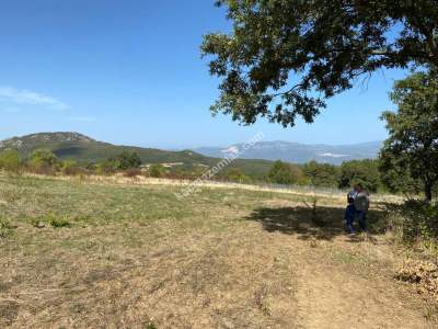 Kestel Gözede Mh Satılık Muhteşem Doğa Manzaralı Tarla 7