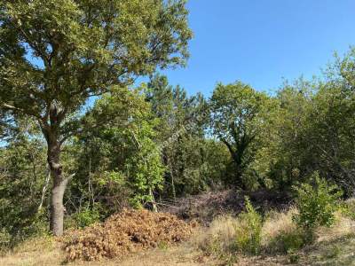 Kestel Gözede Mh Satılık Muhteşem Doğa Manzaralı Tarla 2