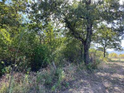 Kestel Gözede Mh Satılık Muhteşem Doğa Manzaralı Tarla 11