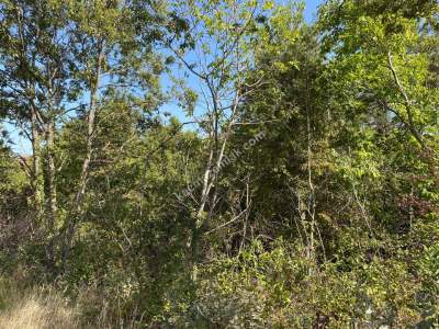 Kestel Gözede Mh Satılık Muhteşem Doğa Manzaralı Tarla