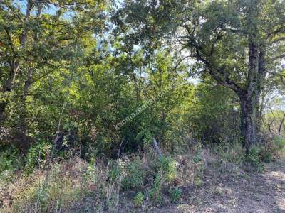 Kestel Gözede Mh Satılık Muhteşem Doğa Manzaralı Tarla 12