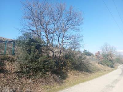 Kestel Kayacık Köyünde Satılık Yola Cephe 5689 M Arazi 7