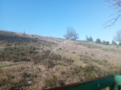 Kestel Kayacık Köyünde Satılık Yola Cephe 5689 M Arazi 3