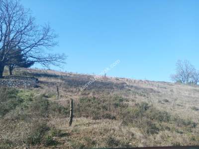 Kestel Kayacık Köyünde Satılık Yola Cephe 5689 M Arazi 9