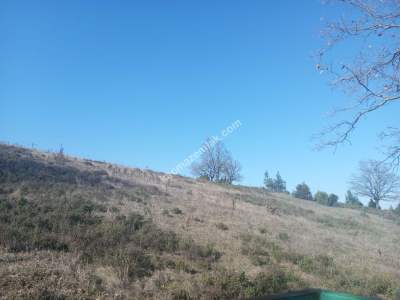 Kestel Kayacık Köyünde Satılık Yola Cephe 5689 M Arazi 8