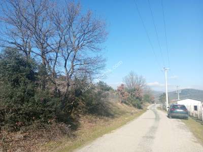 Kestel Kayacık Köyünde Satılık Yola Cephe 5689 M Arazi 2