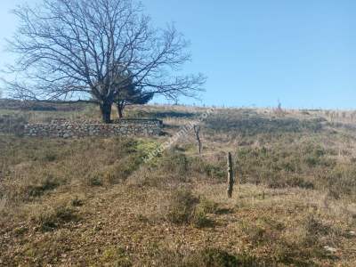 Kestel Kayacık Köyünde Satılık Yola Cephe 5689 M Arazi 10