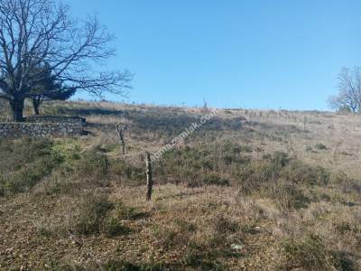 Kestel Kayacık Köyünde Satılık Yola Cephe 5689 M Arazi 5