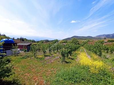 Bursa Kestel Kayacık Köyünde Satılık Tarla 1