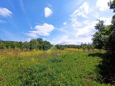 Bursa Kestel Kayacık Köyünde Satılık Tarla 9