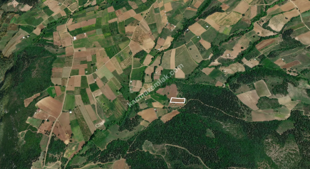 Bursa Kestel Kayacık Köyünde Satılık Tarla 5