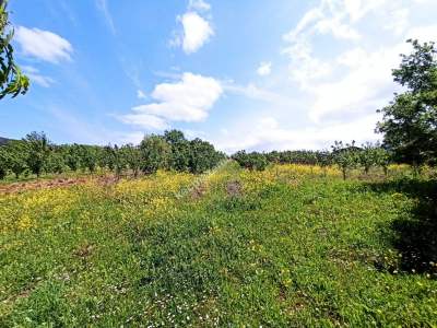 Bursa Kestel Kayacık Köyünde Satılık Tarla 15