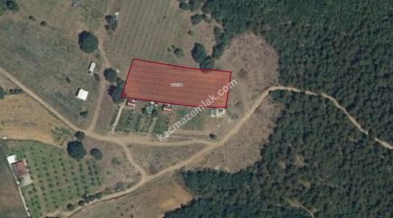 Bursa Kestel Kayacık Köyünde Satılık Tarla 6