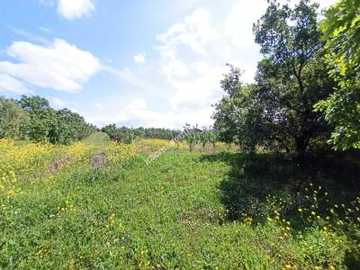 Bursa Kestel Kayacık Köyünde Satılık Tarla 12