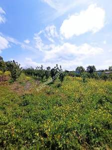 Bursa Kestel Kayacık Köyünde Satılık Tarla 11