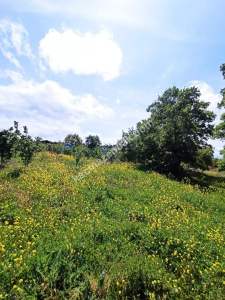 Bursa Kestel Kayacık Köyünde Satılık Tarla 10