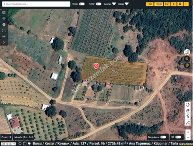 Bursa Kestel Kayacık Köyünde Satılık Tarla 2