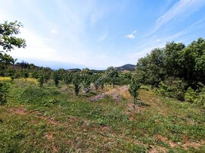 Bursa Kestel Kayacık Köyünde Satılık Tarla 16