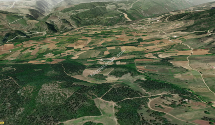 Bursa Kestel Kayacık Köyünde Satılık Tarla 6