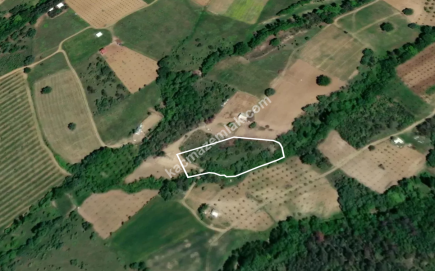 Bursa Kestel Kayacık Köyünde Satılık Tarla 4