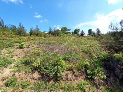 Bursa Kestel Kayacık Köyünde Satılık Tarla 8