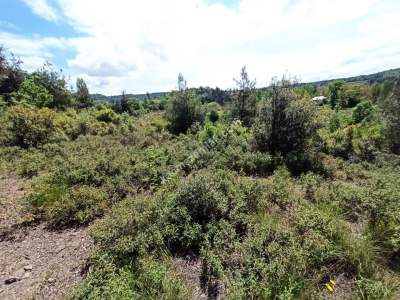 Bursa Kestel Kayacık Köyünde Satılık Tarla 10