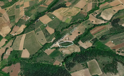 Bursa Kestel Kayacık Köyünde Satılık Tarla 13