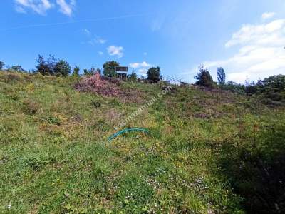 Bursa Kestel Kayacık Köyünde Satılık Tarla 1