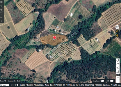 Bursa Kestel Kayacık Köyünde Satılık Tarla 9