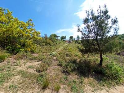 Bursa Kestel Kayacık Köyünde Satılık Tarla 2