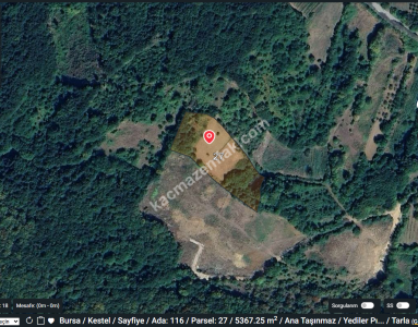 Bursa Kestel Sayfiyede Uludağın Eteği Satılık Tarla 1