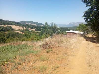 Bursa Kestel Umitalan Mah Satılık 1080 M² Hobi Bahçesi 11