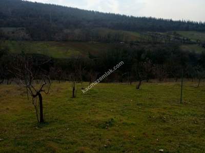 Bursa Kestel Umitalan Mah Satılık 1080 M² Hobi Bahçesi 9