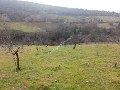 Bursa Kestel Umitalan Mah Satılık 1080 M² Hobi Bahçesi 13