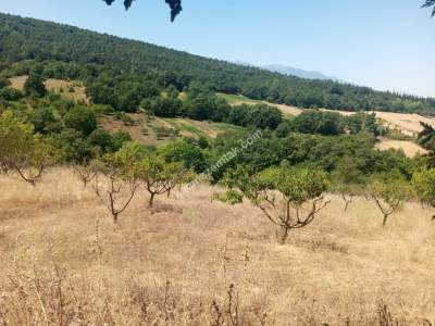 Bursa Kestel Umitalan Mah Satılık 1080 M² Hobi Bahçesi 7
