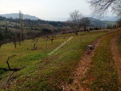 Bursa Kestel Umitalan Mah Satılık 1080 M² Hobi Bahçesi 6