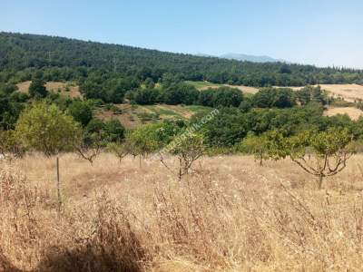 Bursa Kestel Umitalan Mah Satılık 1080 M² Hobi Bahçesi 5