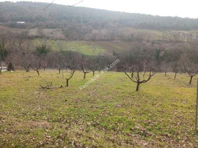 Bursa Kestel Umitalan Mah Satılık 1080 M² Hobi Bahçesi 2