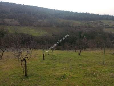 Bursa Kestel Umitalan Mah Satılık 1080 M² Hobi Bahçesi 12
