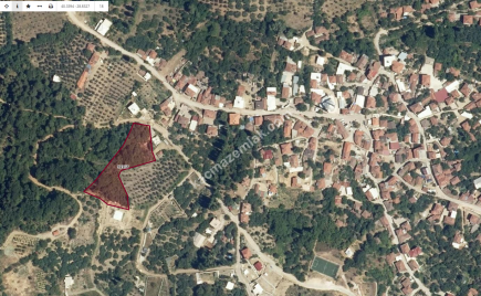 Bursa Mudanya Çepni Köyünde Satılık Tarla 1