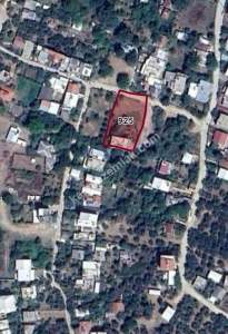 Bursa Mudanya Eşkel Esencede Satılık Tarla 3