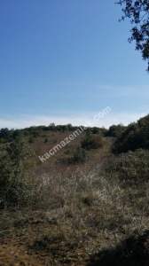 Bursa Mudanya Mirzaoba Köyü’nde Satılık 1545 M² Tarla 2