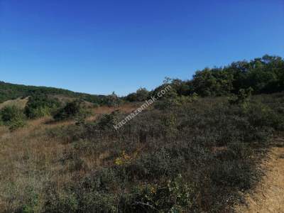 Bursa Mudanya Mirzaoba Köyü’nde Satılık 1545 M² Tarla 5