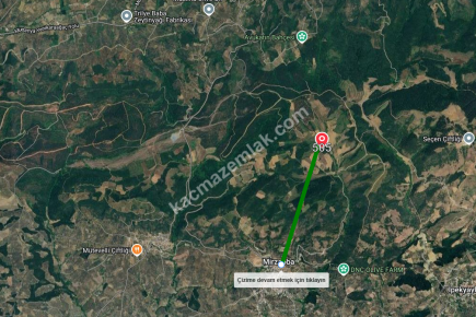 Bursa Mudanya Mirzaoba Köyü’nde Satılık 1545 M² Tarla 6