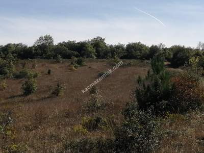 Bursa Mudanya Mirzaoba Köyü’nde Satılık 1545 M² Tarla 1