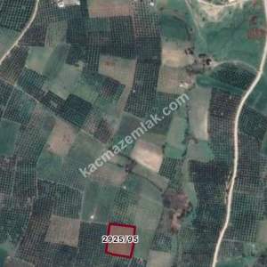 Bursa Mudanya Yalıçiftlik Mah.satılık Tarla 4623 M2 1